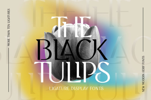 Black Tulip: A Serif Font for Elegant Web Design