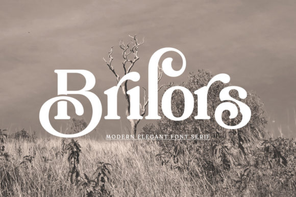 Brilors Typeface: Elegant Serif for Branding