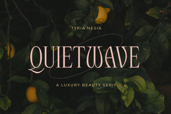 Quietwave Serif Font: A Designer’s Branding Story