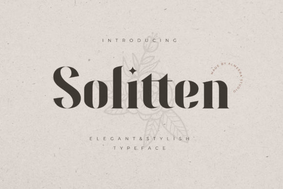 Solitten: A Serif Font for Bold Campaigns